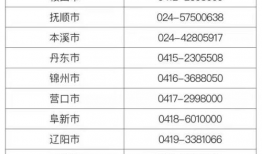 91培训机构直播,揭秘高效学习新体验